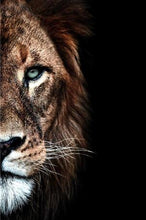 Load image into Gallery viewer, African Lion and Lioness