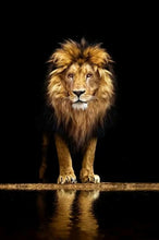 Load image into Gallery viewer, Lion in the Dark
