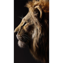 Load image into Gallery viewer, Tiger Leopard Lion