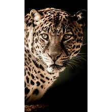 Load image into Gallery viewer, Tiger Leopard Lion