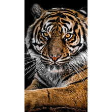Load image into Gallery viewer, Tiger Leopard Lion