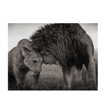 Load image into Gallery viewer, Lions Head to Head
