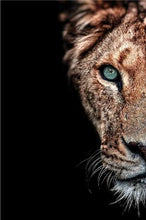 Charger l'image dans la galerie, African Lion and Lioness
