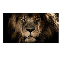 Load image into Gallery viewer, African Lion
