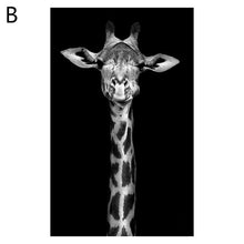 Load image into Gallery viewer, Animal Art
