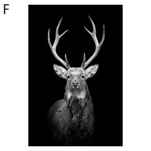 Load image into Gallery viewer, Animal Art
