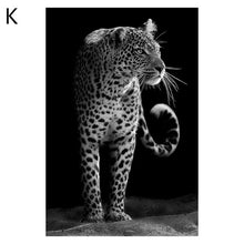 Load image into Gallery viewer, Animal Art
