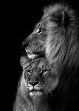 Charger l'image dans la galerie, Lion noir et blanc et lionne et petit
